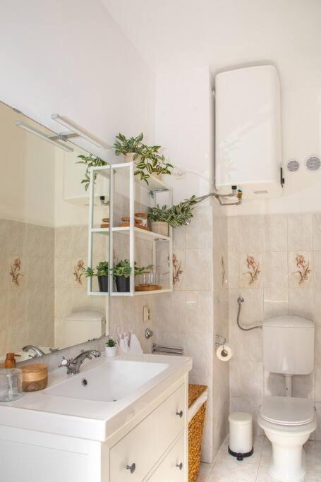 Brand New City Center Apartment Nostalgija Split Ngoại thất bức ảnh